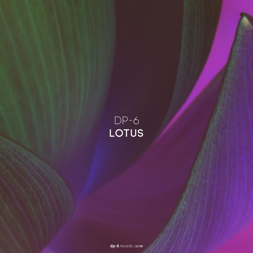 DP-6 - Lotus [DR198]